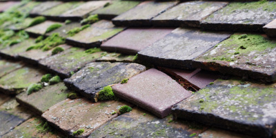 Lydbrook roof repair costs